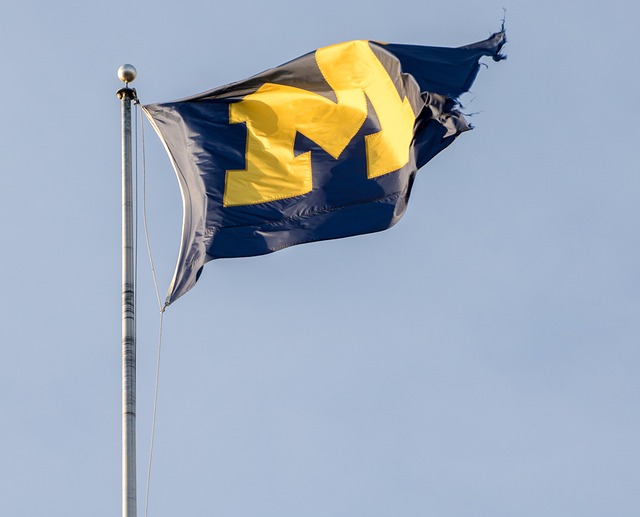 img2.jpg